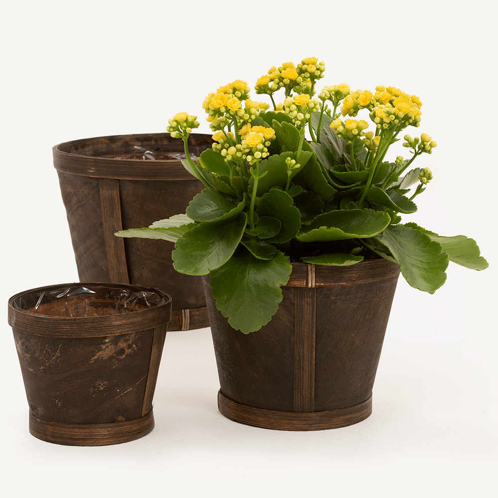 6" Wooden Pot Cover Floral Supply Syndicate Floral Gift Basket and