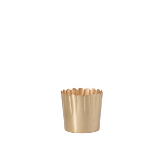 DELICATA POT 5.5"X 5"
