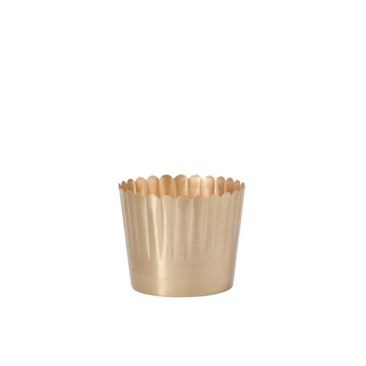 DELICATA POT 7.5"X 6"