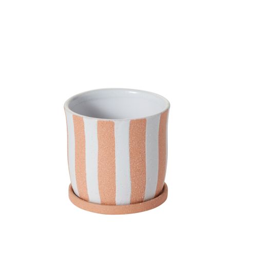 ANDREAS POT 5.5"X 5"