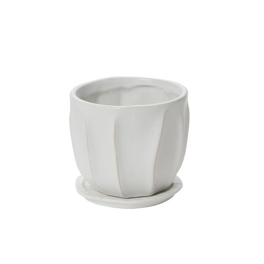 DRAKEN POT 4.75"X 4.25"