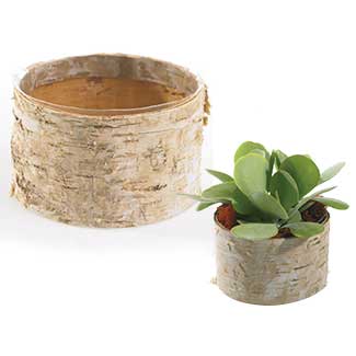 BIRCH BOWL 6.25"X 3.75"