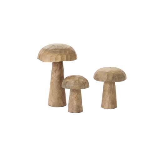 PORCINI MUSHROOM SET OF 3 - 3
