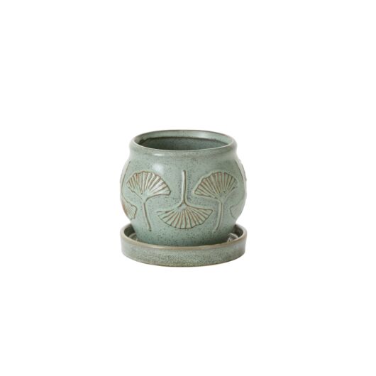 BILOBA POT WITH SAUCER 5.75"X