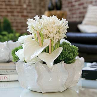 CACHE BOWL 10.5"X 4.75"