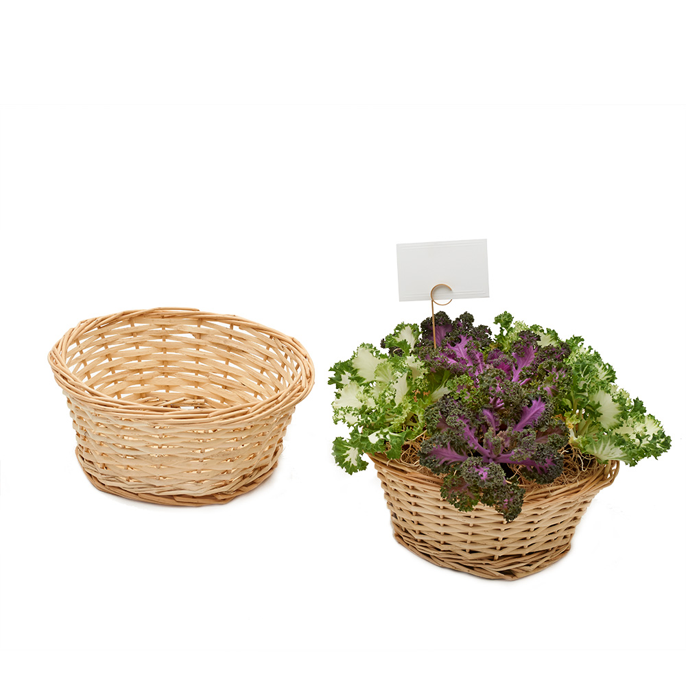 9" Willow Basket Floral Supply Syndicate Floral Gift Basket and