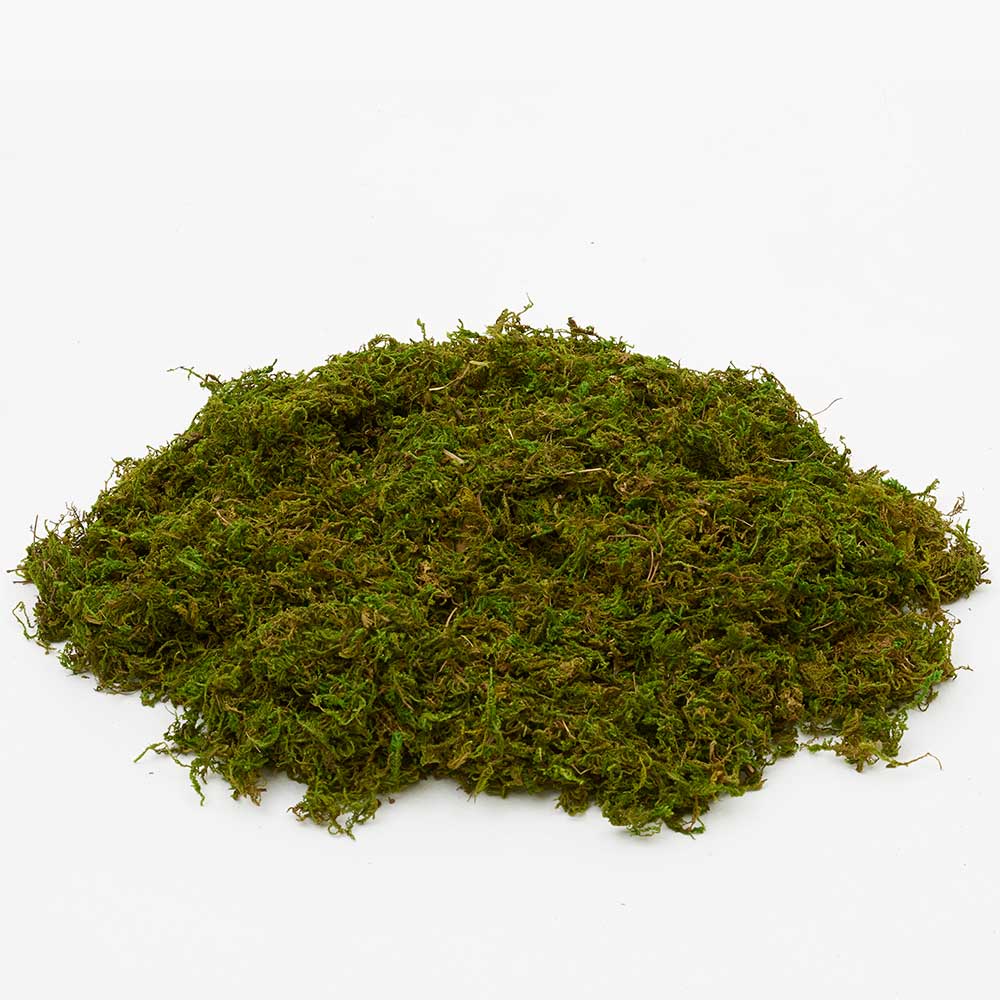 PRESERVED MOUNTAIN MOSS