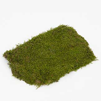Natural Sheet Moss,aprox 4.5l - Floral Supply Syndicate - Floral Gift  Basket and Decorative Packaging Materials