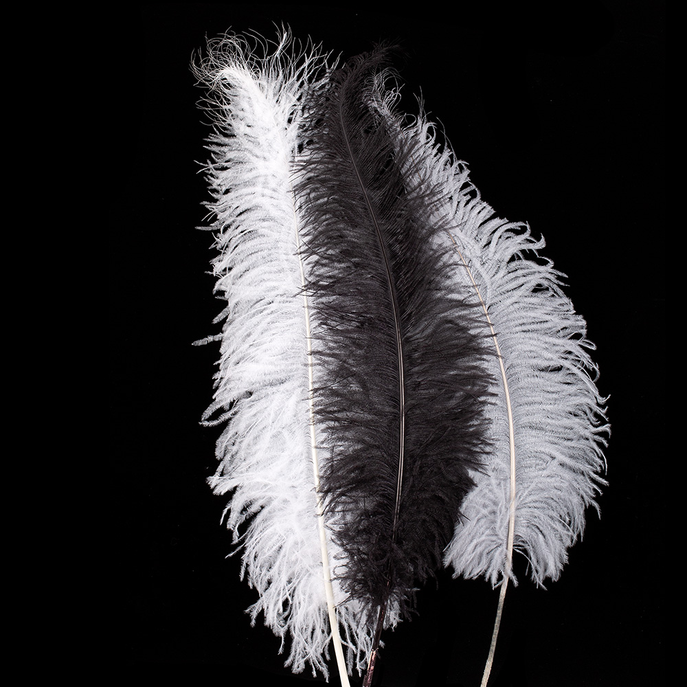 18-22" OSTRICH FEATHERS