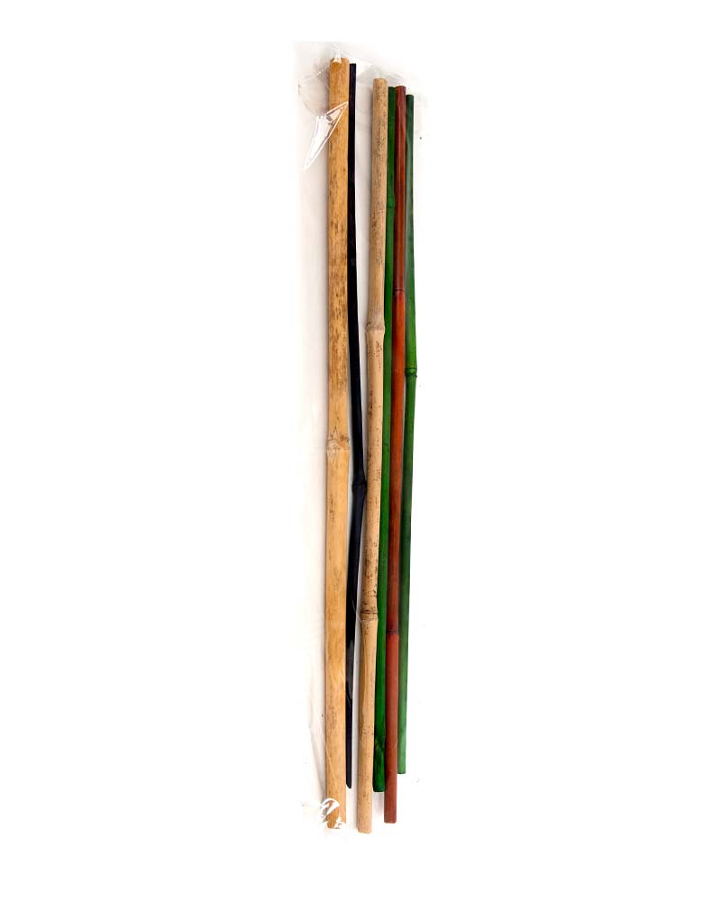 BAMBOO 24" MIX 6-PACK