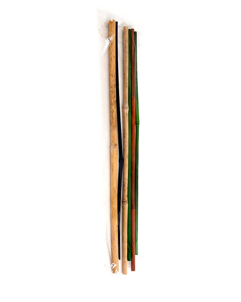 BAMBOO 18" MIX 6-PACK