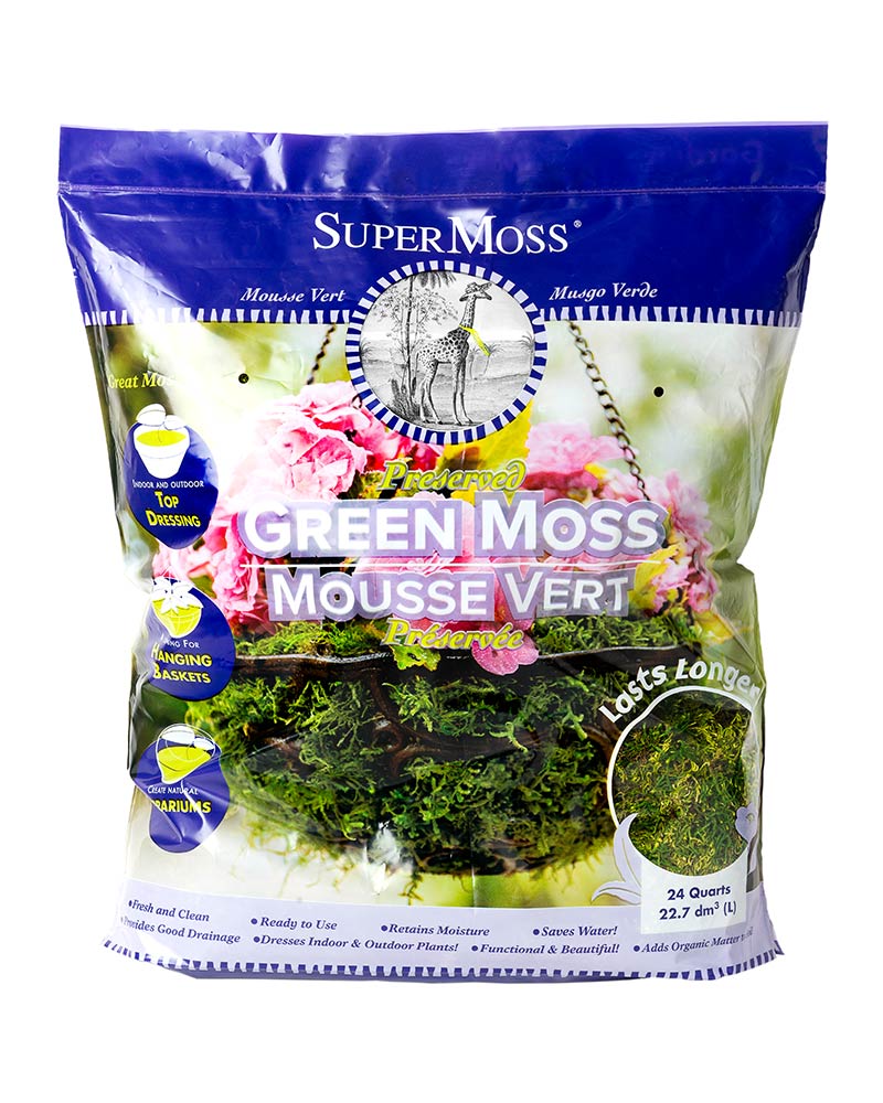 FOREST MOSS DR 24QT,DRIED