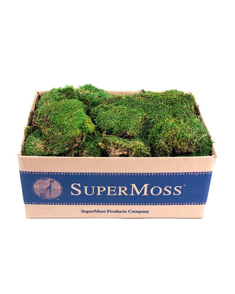 Mood Moss Pr Bulk 1564in,preserved Floral Supply Syndicate Floral