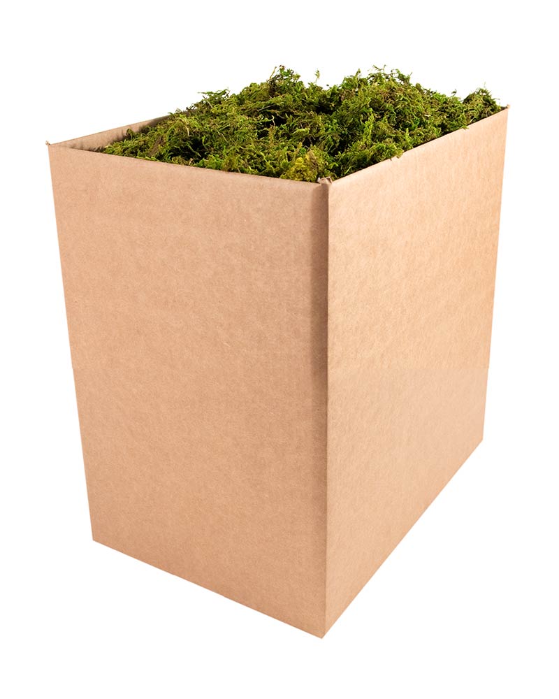 FOREST MOSS DR BULK 2588IN,DRIED