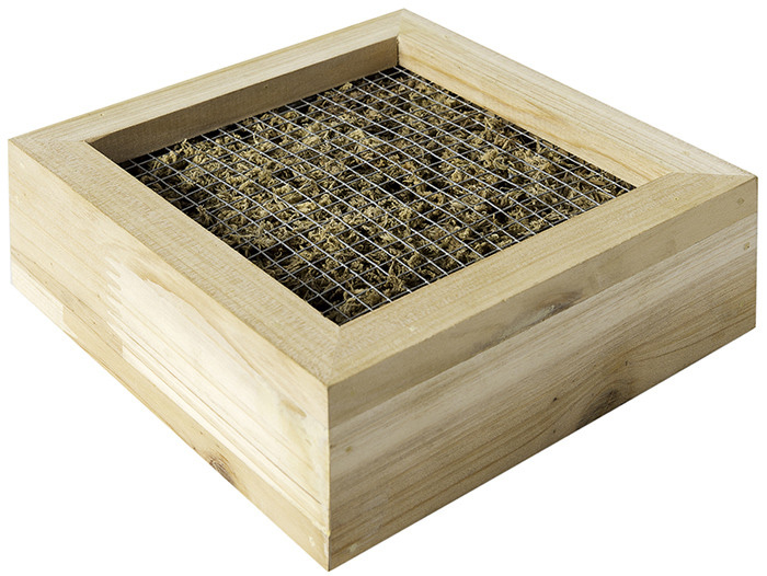 SUCCULENT FRAME 6"X 6"