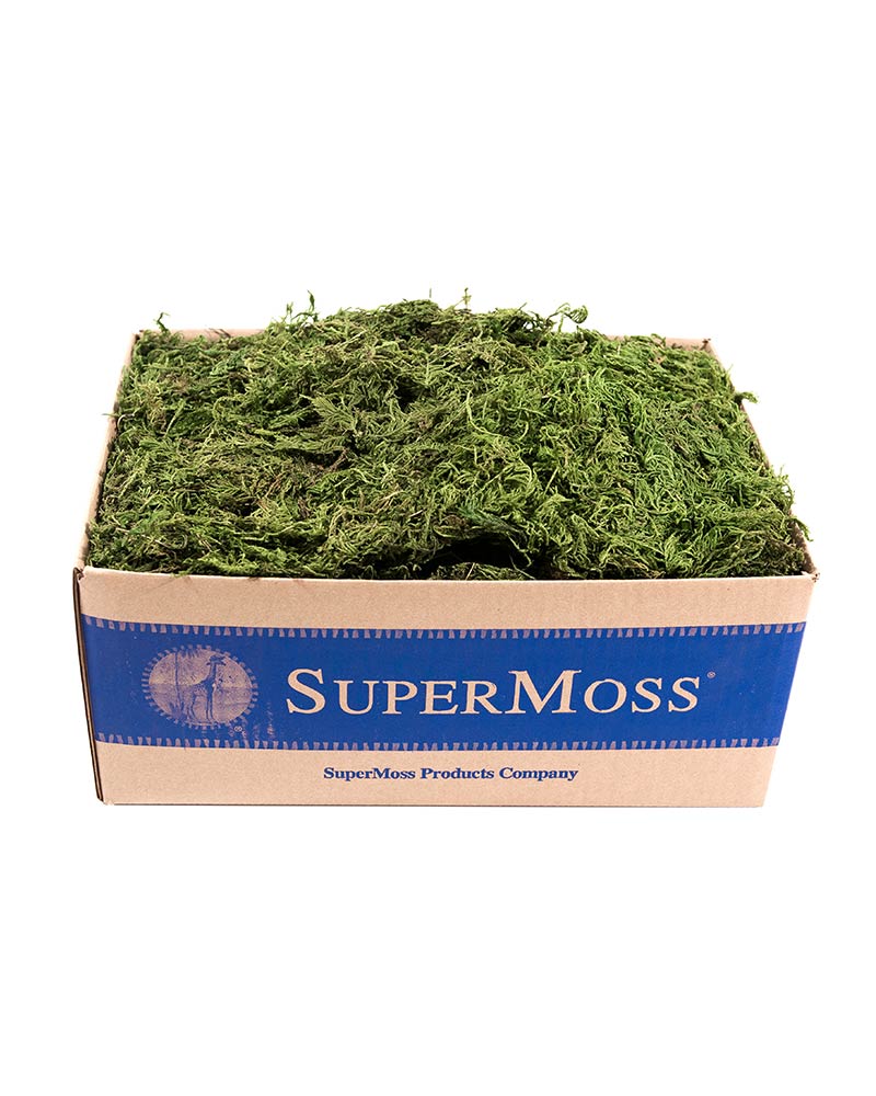 Forest Moss Pr Bulk 1564in,pear Floral Supply Syndicate Floral Gift