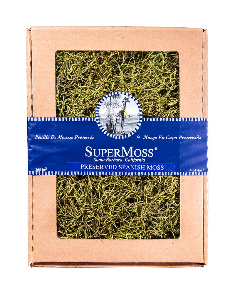 Spanish Moss Pr Db4 Ba,basil Floral Supply Syndicate Floral Gift
