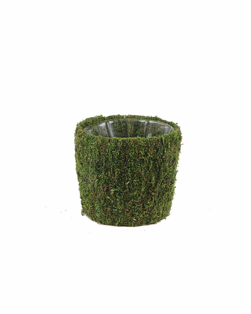 Baskets, Moss Covered