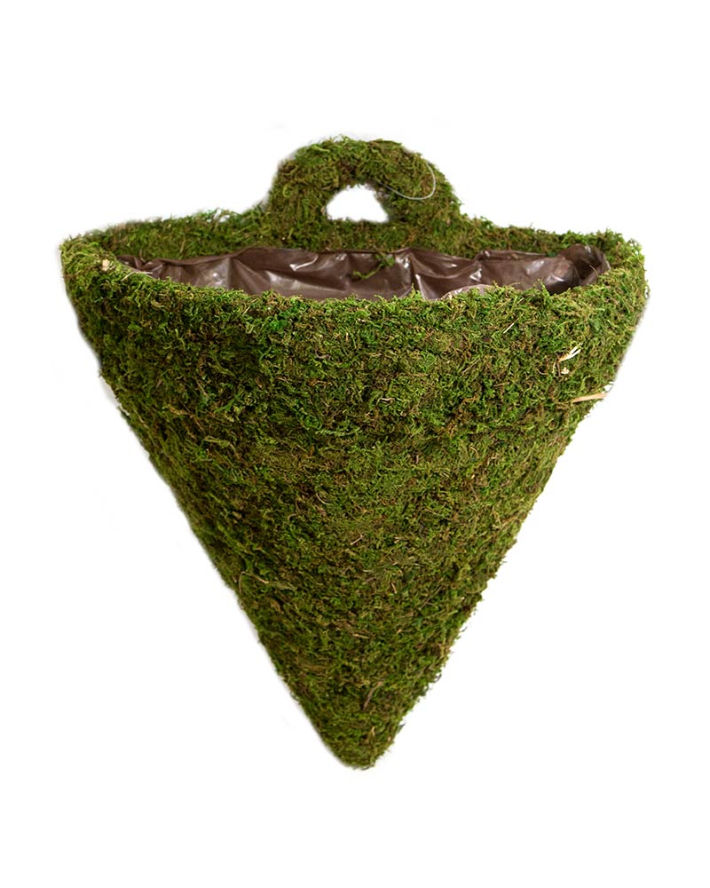 Moss Containers &amp; Shapes