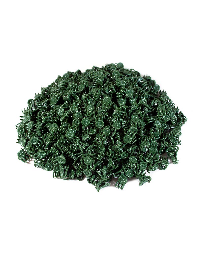 ORCHID CLIPS DAISY M GN 500/C