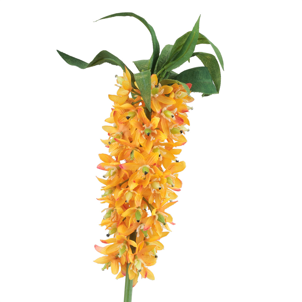 PINEAPPLE LILY,ORANGE