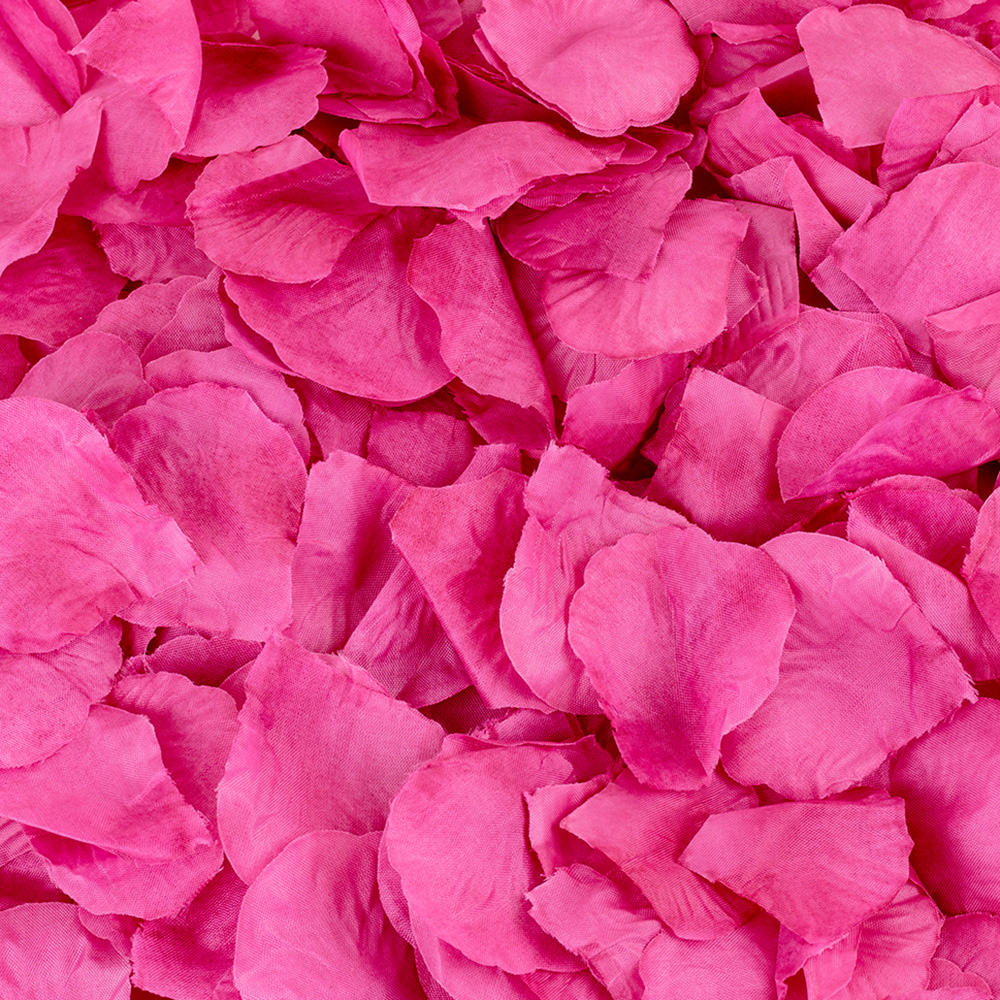 ROSE PETALS,FUCHSIA