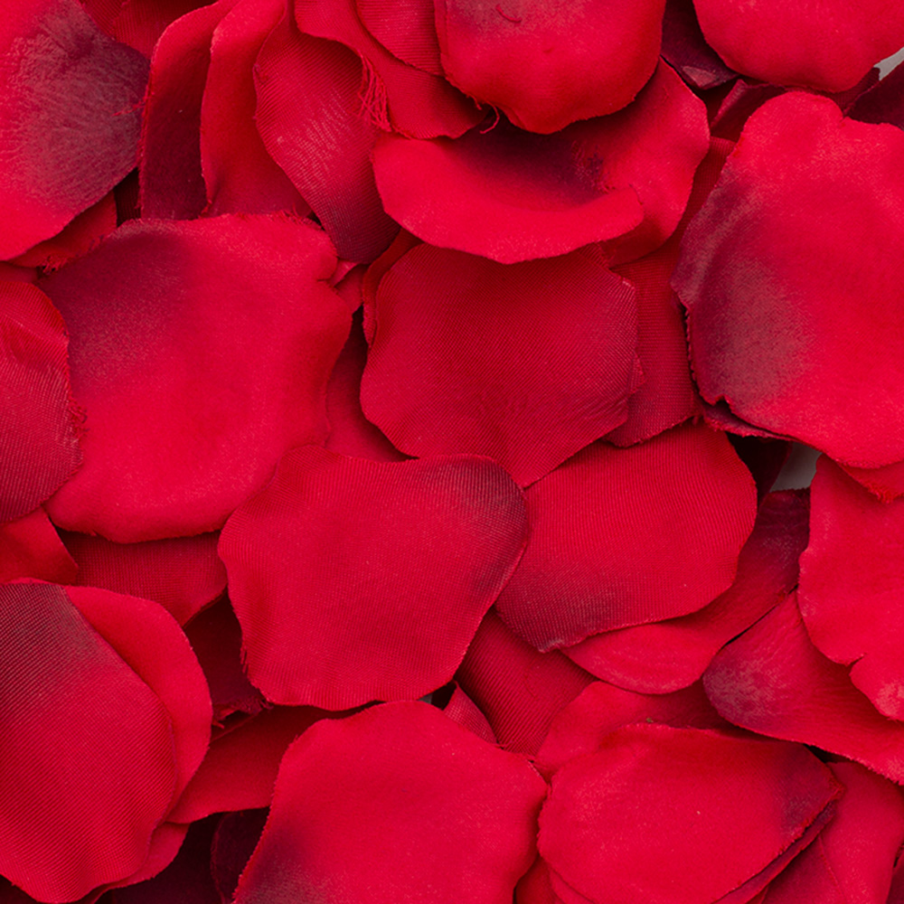 Permanent Botanicals & Succulents - Rose Petals - Floral