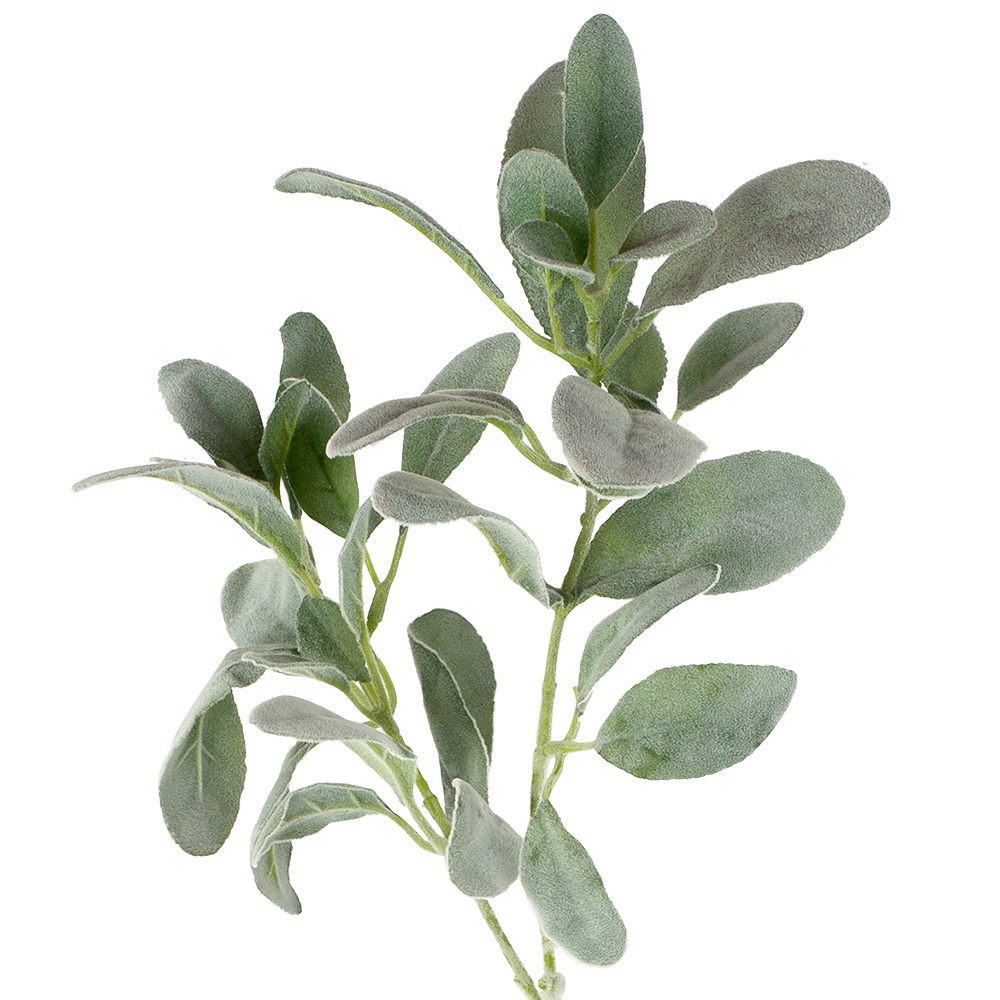 FSS recommended item