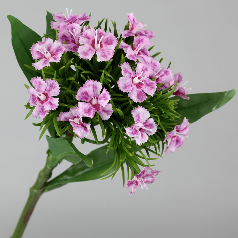 12.5" DIANTHUS,LAVENDER