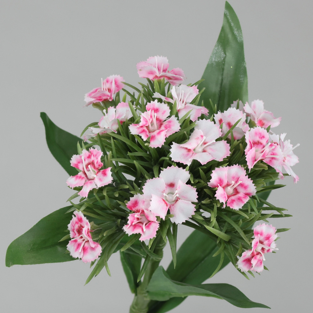 12.5" DIANTHUS,WHITE