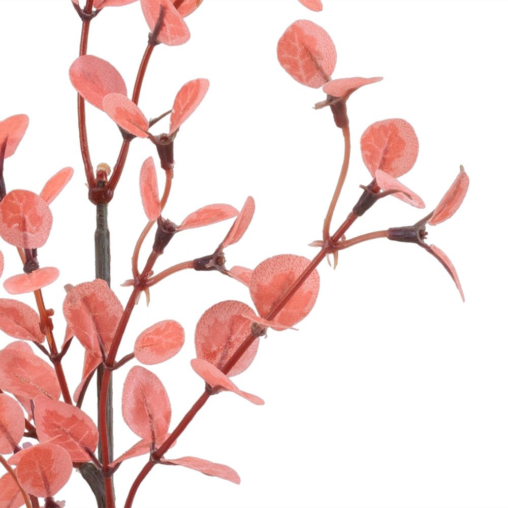 BUTTON LEAF SPRAY,CORAL