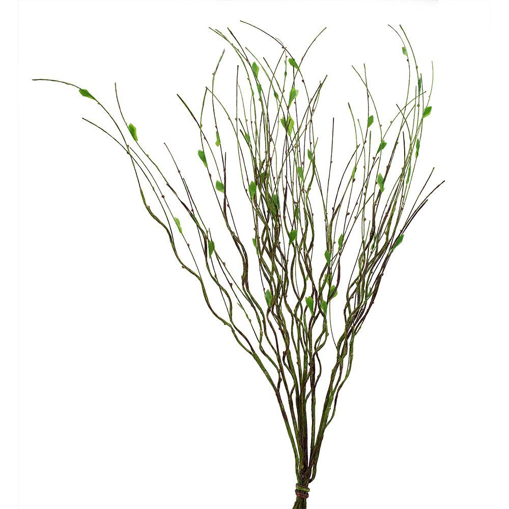 FSS recommended item