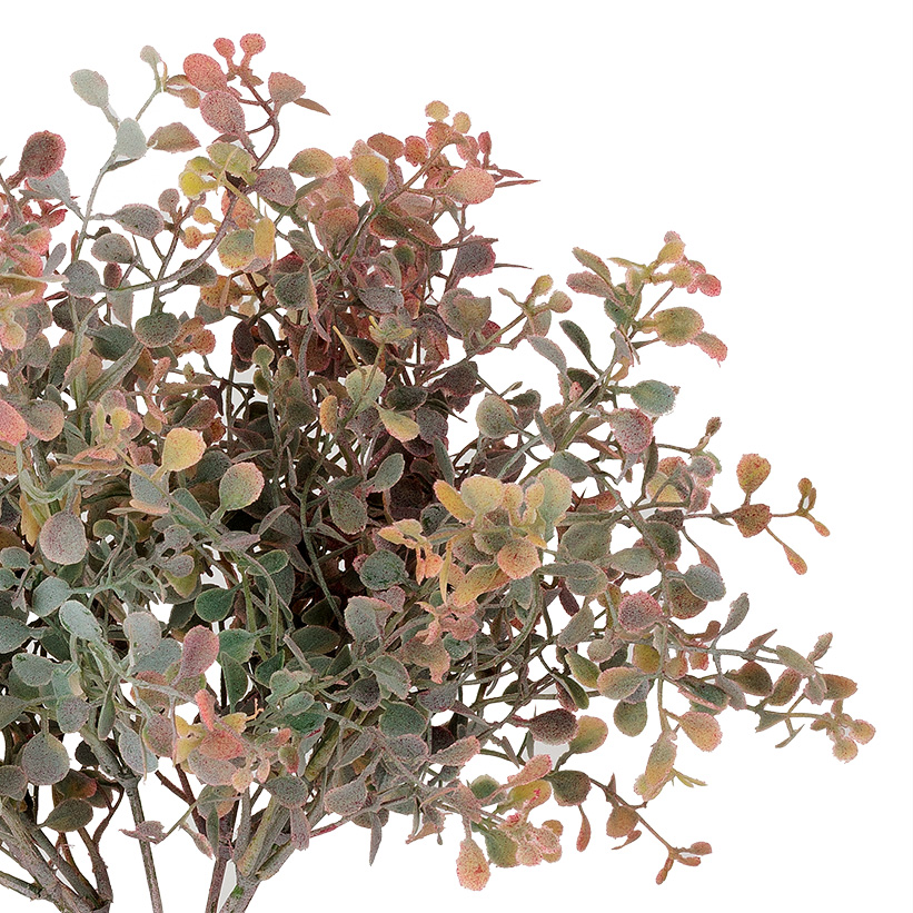 12" MAIDENHAIR BUSH,BURGUNDY