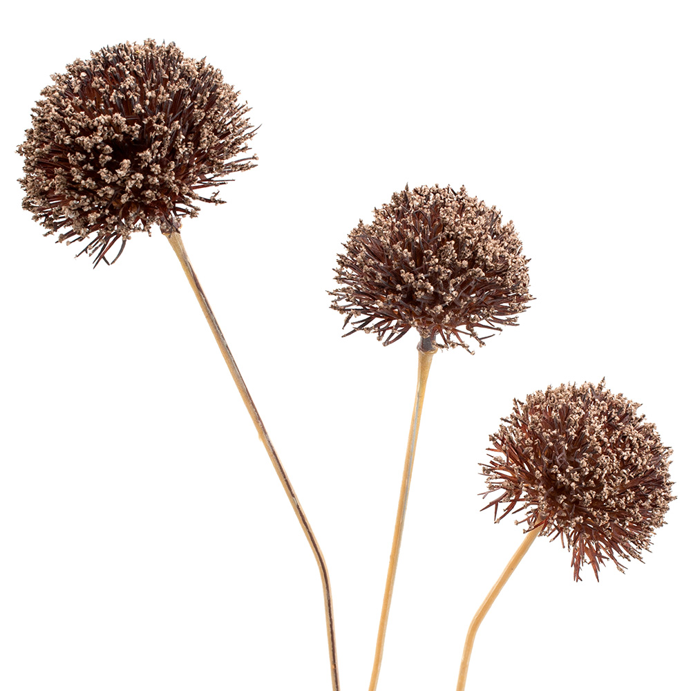 25" ALLIUM SPRAY,DARK BR