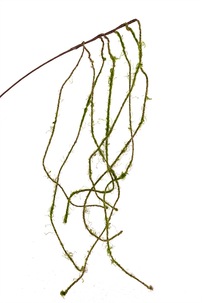 54" Hanging Moss Spray Floral Supply Syndicate Floral Gift Basket