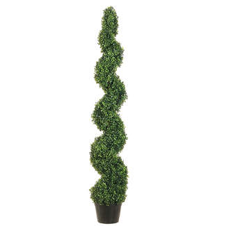 5' Knock-Down Pond Boxwood Spiral     Topiary in