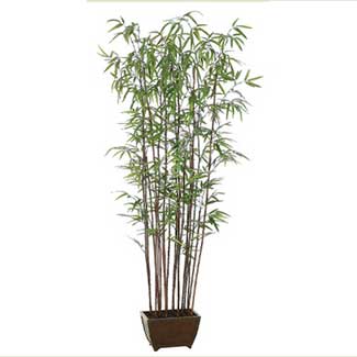 6' BAMBOO TREE W/ CONTAINER