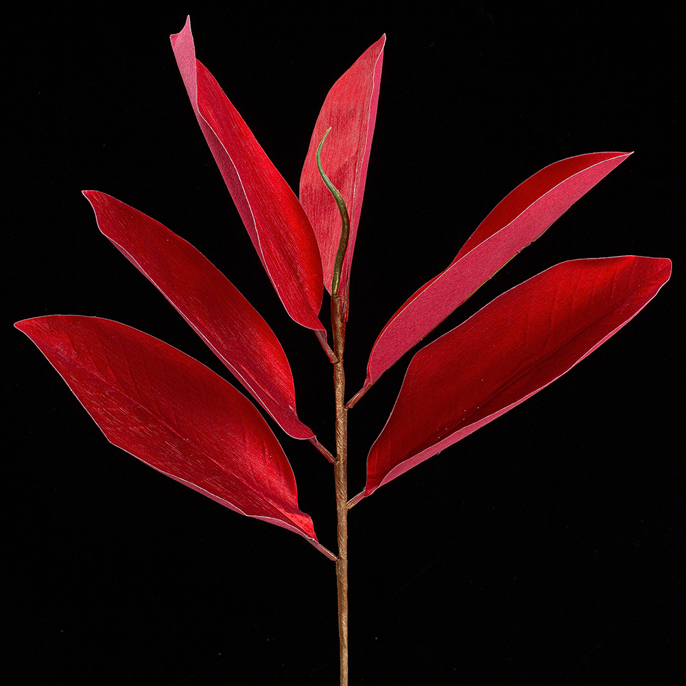 22" MAGNOL.LEAF SPRA ED