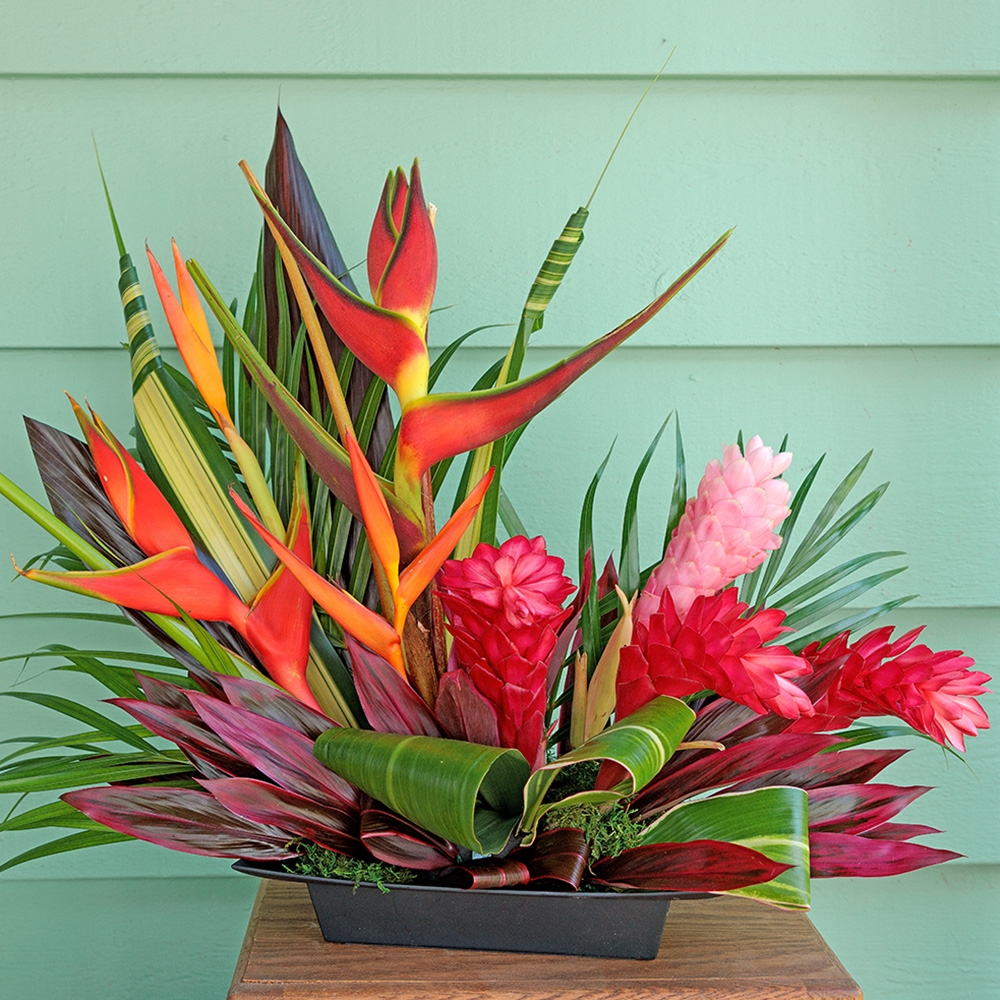 Contributed by Floral Supply Syndicate