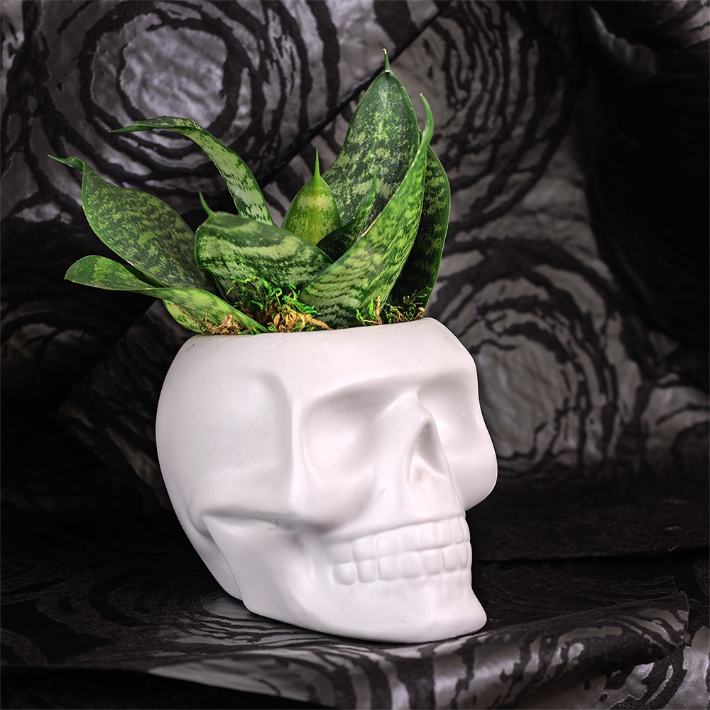 Contributed by Floral Supply Syndicate