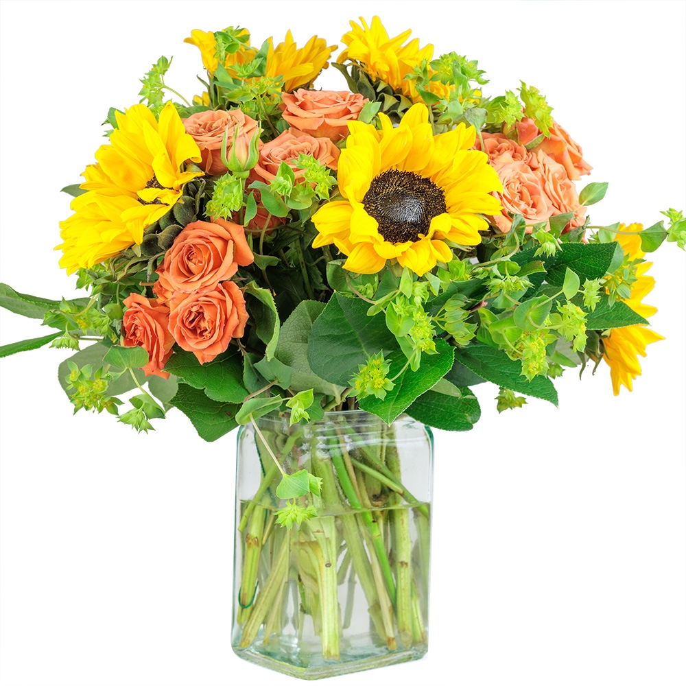 Contributed by Floral Supply Syndicate
