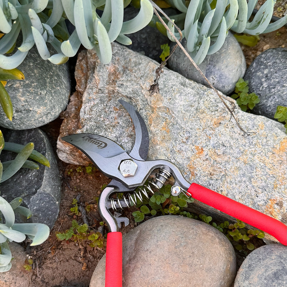 PRUNING SHEARS Contributed by Floral Supply Syndicate